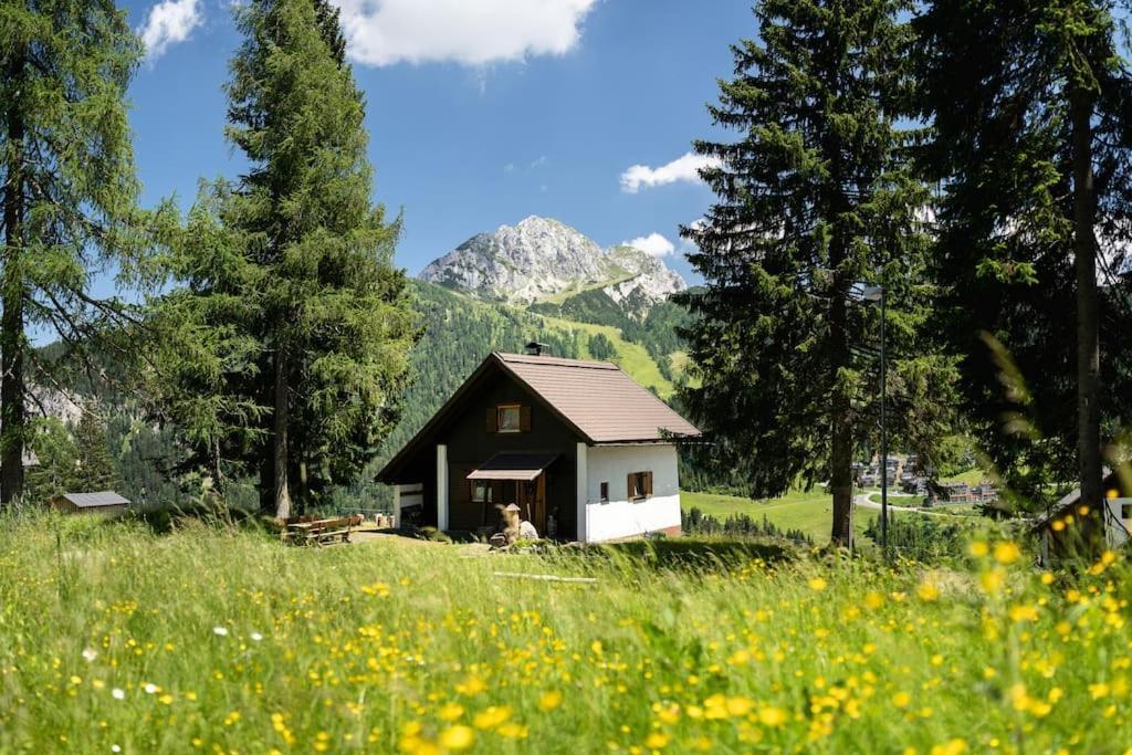 Villa Gemuetliche Huette In Den Bergen Sonnenalpe Nassfeld Esterno foto